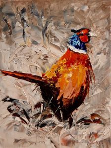 A Pheasant in full Colour